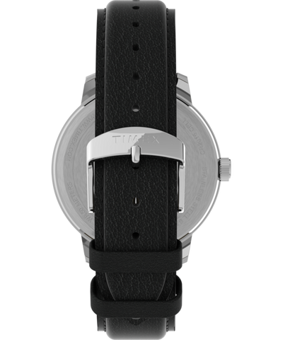 TW2V21400GP Easy Reader® Bold 43mm Leather Strap Watch strap image