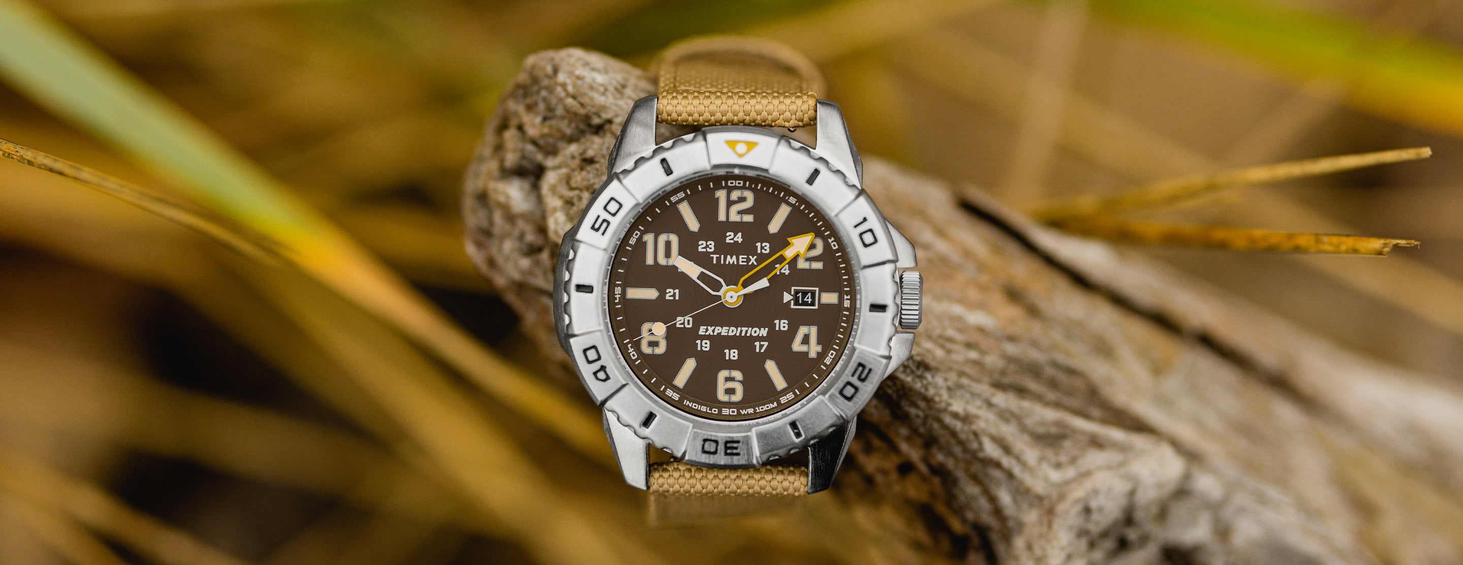 Timex expedition outlet movement