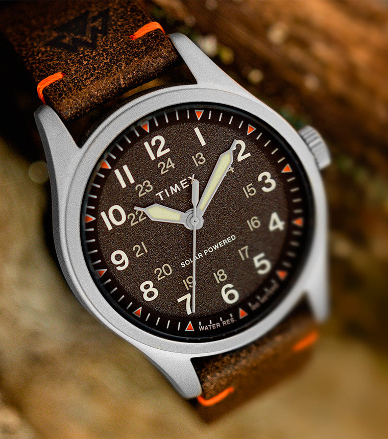 Timex expedition online diver