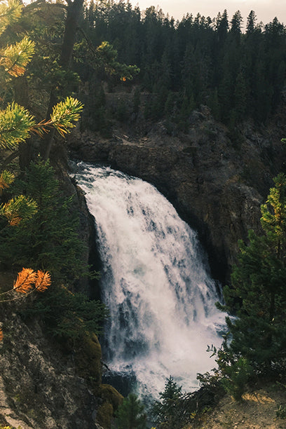 Waterfall surrounded by trees in a forested area