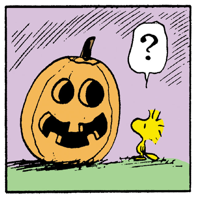 Woodstock from Peanuts looks puzzled at a smiling jack-o’-lantern with a question mark above his head.
