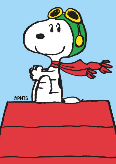 スヌーピー snoopy peanuts 太鼓 51gxh1DXHxL.jpg_BO30,255,255,