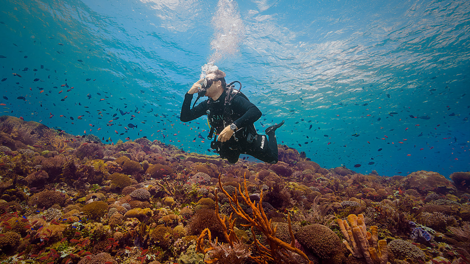 Scuba diver swimming above a colorful coral reef while wearing the Timex Deepwater Meridian 200 Automatic GMT, highlighting its dive-inspired design and 200-meter water resistance.