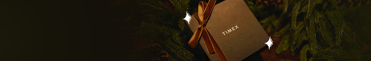 Gifts Under $250 - Timex gift box tied with a gold ribbon among evergreen branches, accented with white sparkles.