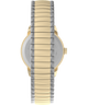 T2H381 Easy Reader 25mm Bracelet Watch Strap Image