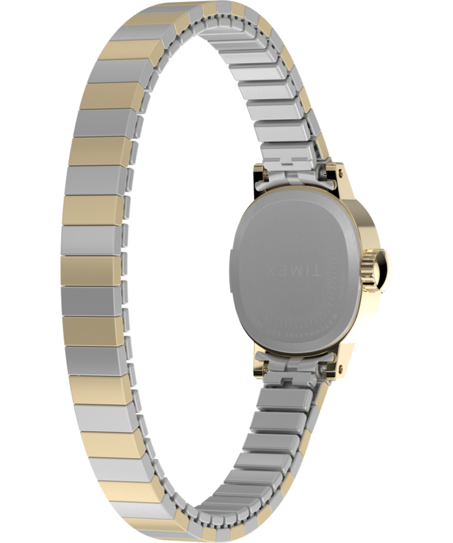 TW2Y66900 Cavatina® Mini 17mm Stainless Steel Expansion Band Watch Caseback with Attachment Image