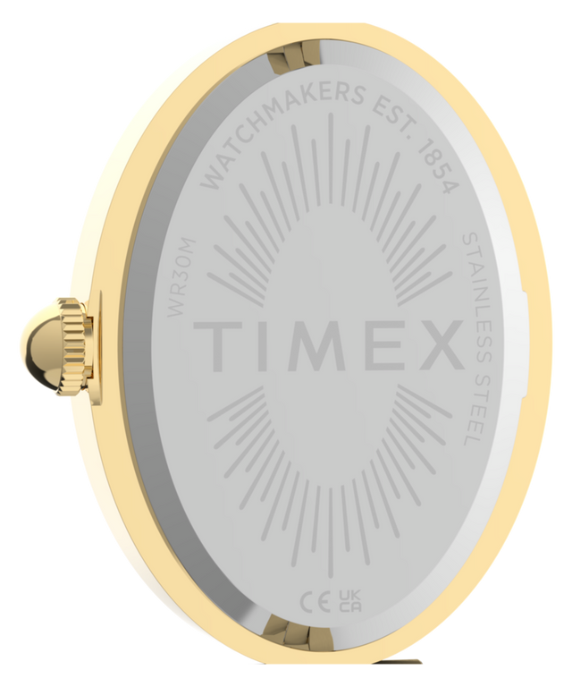 TW2Y86200 Cavatina® Luxe 22mm Stainless Steel Watch Caseback Image