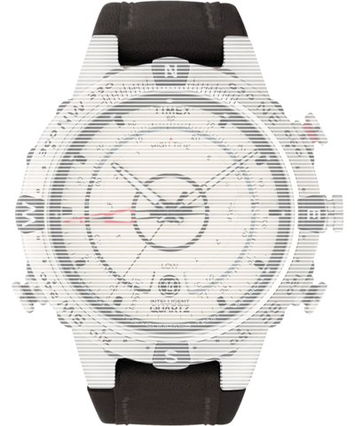 TW7C30800 Replacement Strap for Intelligent Quartz® Flyback Chronograph Primary Image