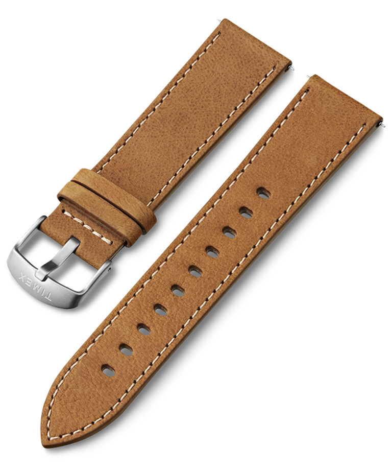 TW7C69700 22mm Leather Strap Primary Image
