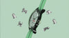 Promotional video showcasing the Timex x Monopoly MK1 watch. The video pans across the white dial with Monopoly branding, luminous mint details, and black case. It transitions between close-ups of the dial, the mint-green fabric strap, and playful Monopoly-themed animations celebrating 90 years of Monopoly.