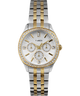 TW2W17900 Ariana 36mm Stainless Steel Bracelet Watch Primary Image